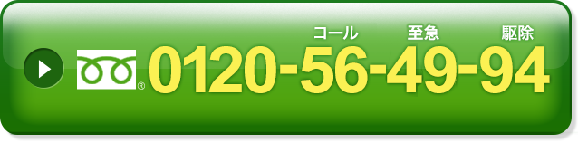 0120-56-49-94