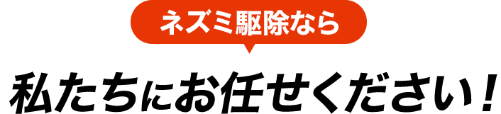 ネズミ駆除なら私たちにお任せください!
